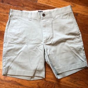 Men’s new J Crew mint chip green shorts NWT 29 S